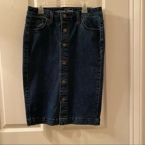 Denim Knee Length Skirt